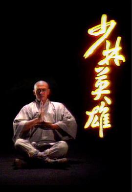 少林英雄粤语 第17集