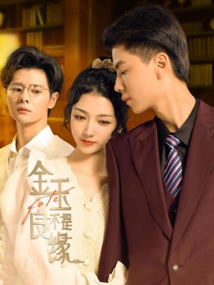 金玉不是良缘 第04集