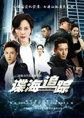 谍海追踪 第26集