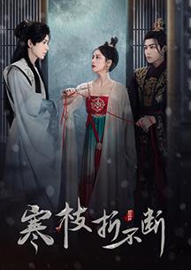 寒枝折不断 第04集